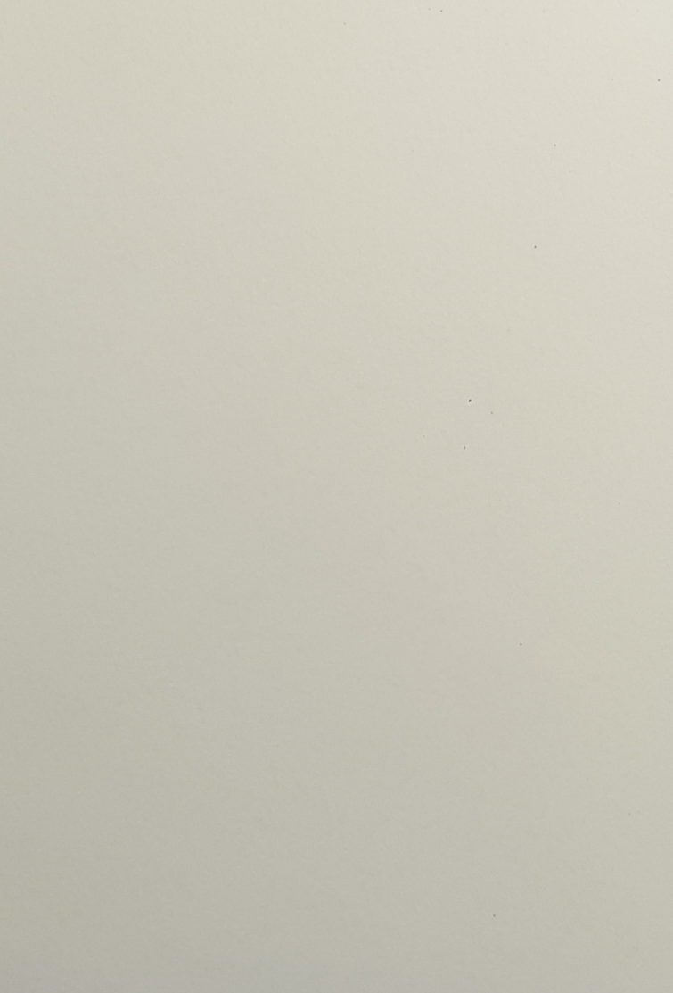 New Year Card - Orange Stars On White & Orange Front (Humour)