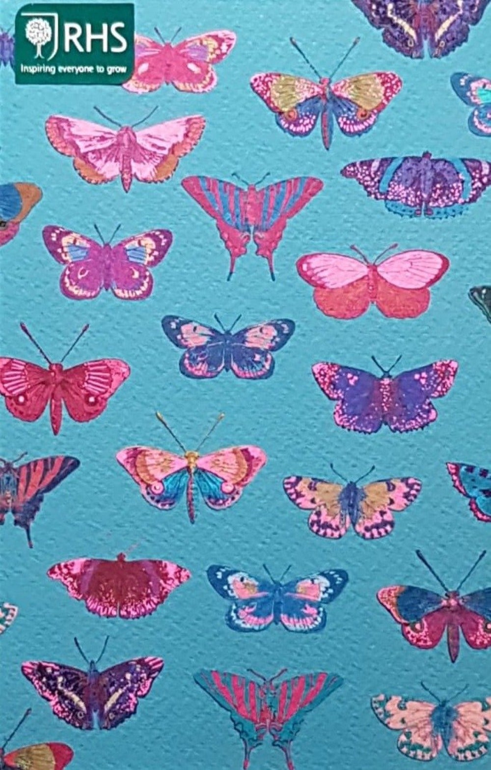 Blank Card - Pink & Purple Butterfly Pattern On Blue Background
