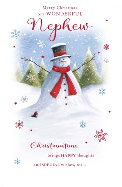 Nephew Christmas Card