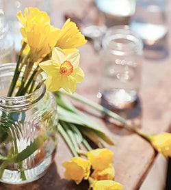 Easter Card - A Jar Of Daffodils