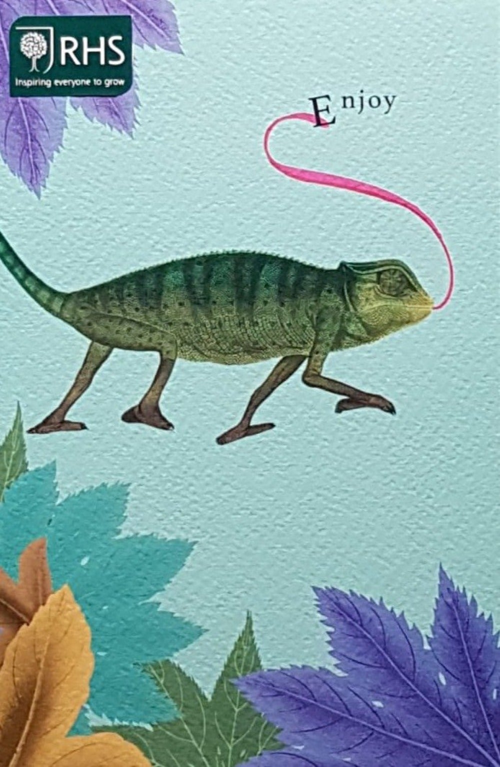Blank Card - A Chameleon Sticking The Tongue Out And Saying 'Enjoy'