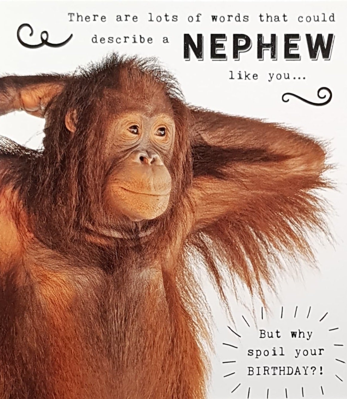 Birthday Card - Nephew / Orangutan Stretching