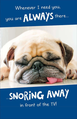 Fathers Day Card - Humour / Dog Taking a Nap