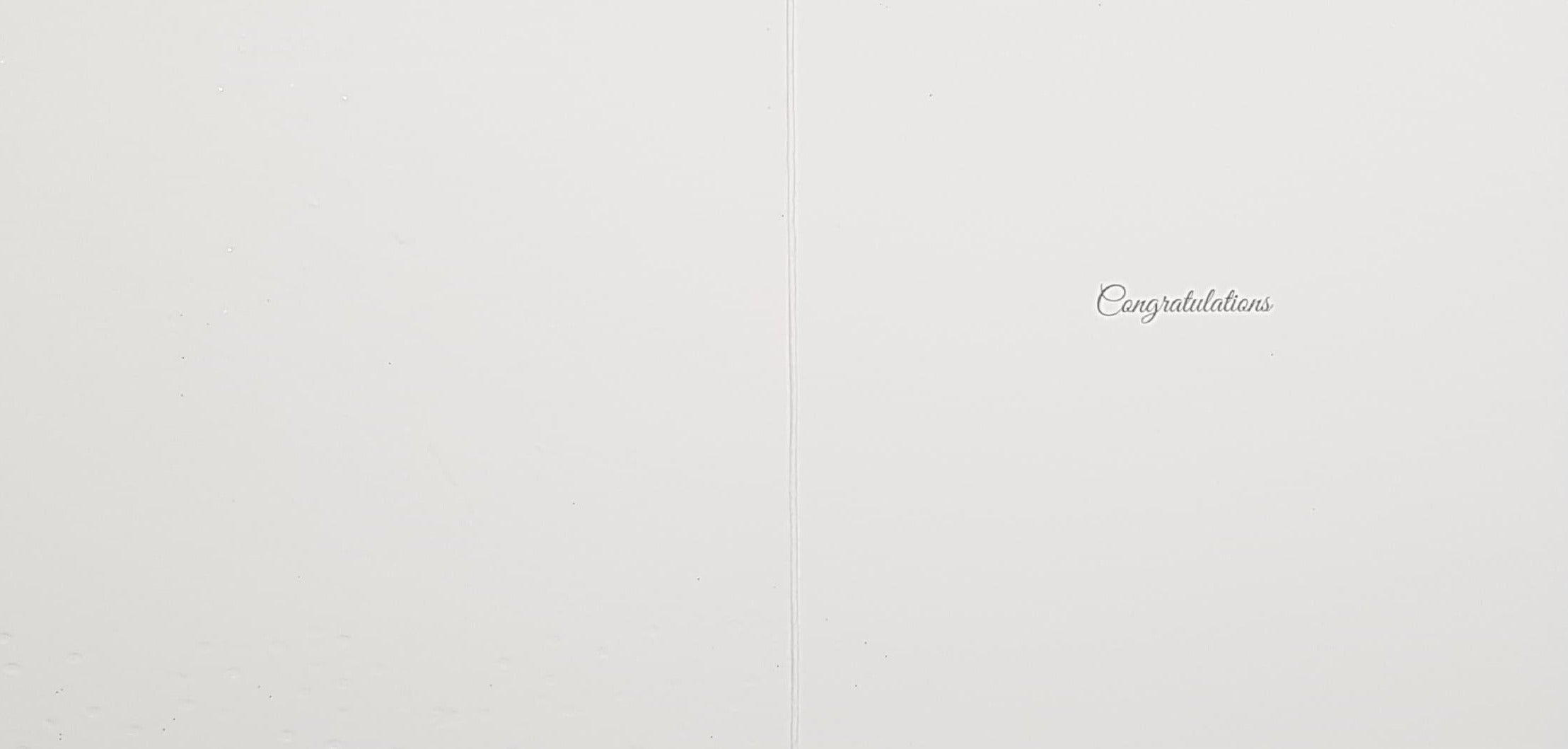 Congratulations Card - Mum & Dad To Be / A Stork Carrying A Sparkly Gold Bag