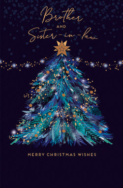 Brother And Sister In Law Christmas Card