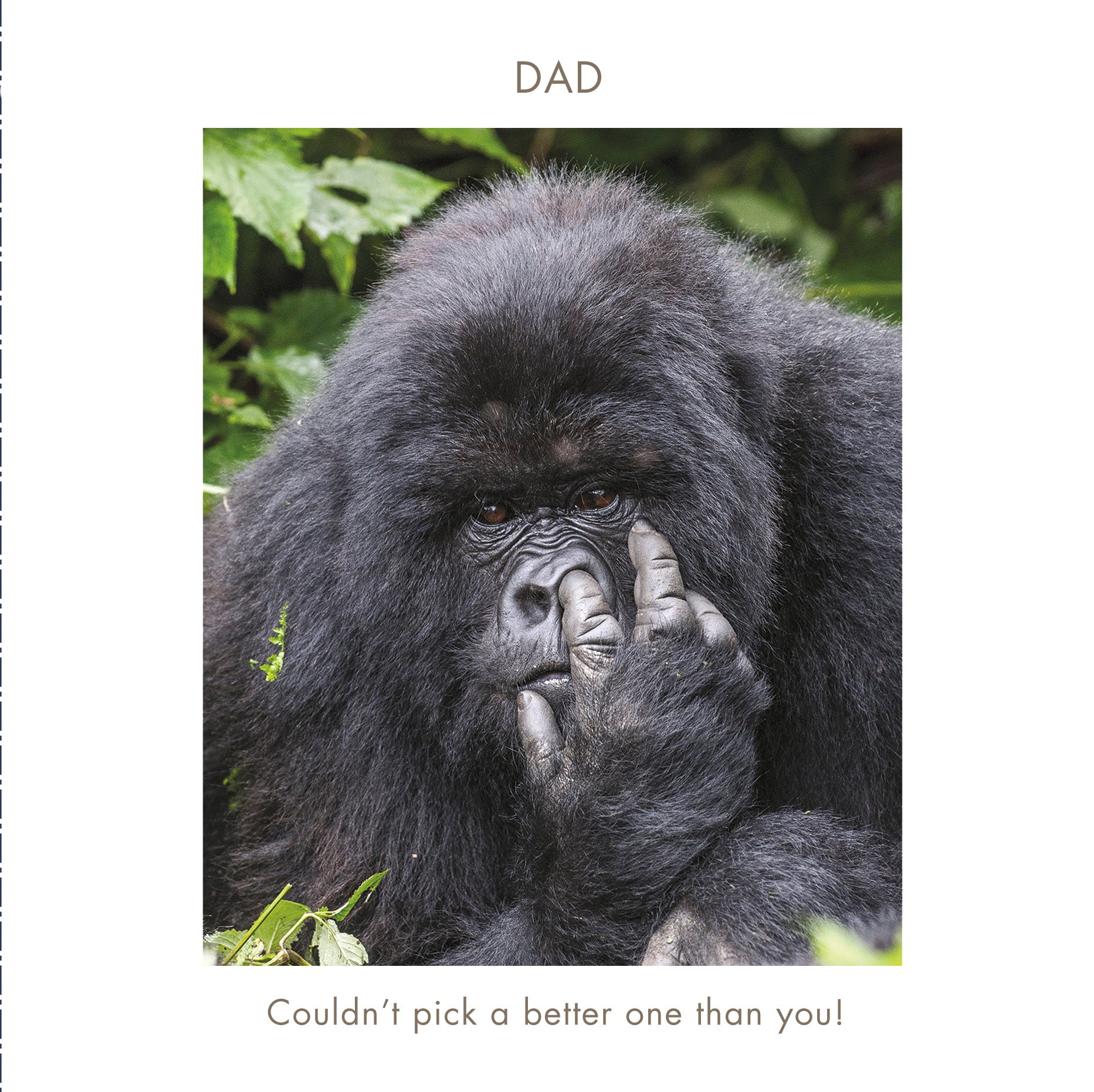 Birthday Card - Humour / Dad