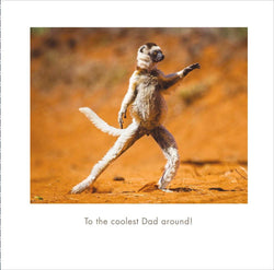 Fathers Day Card - Dad (Humour) / Coolest Dad Around & Animal Posing