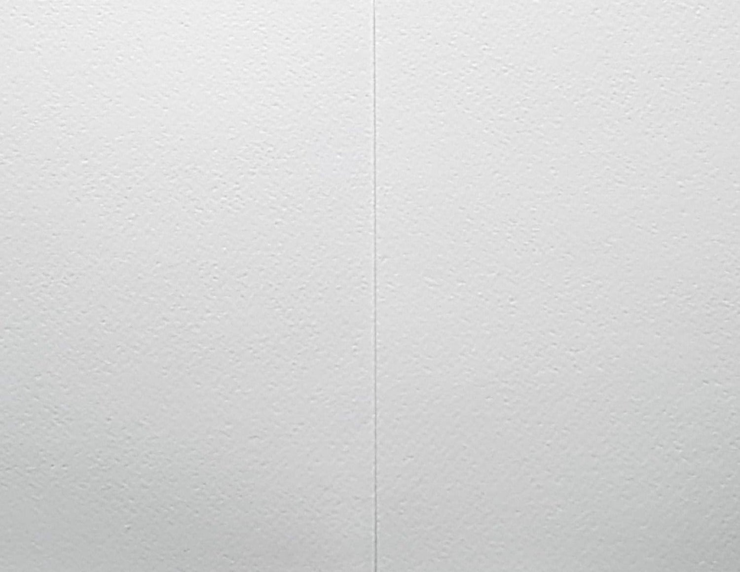 Blank Card - Two Pink Birds & Pink Glass & Berries