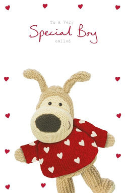 Special Boy Valentines Day Card 
