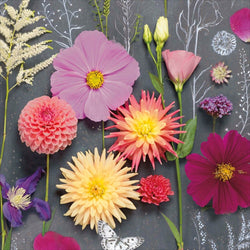 Gift Wrap - Flat Wrap / Meadow (Folded Twice)