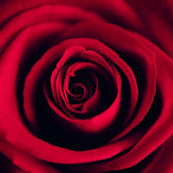 General Valentines Day Card