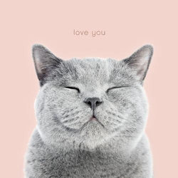 Cutie Valentines Day Card