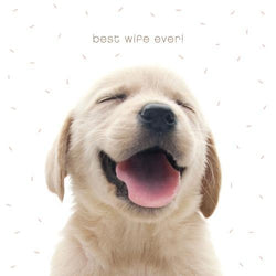 Wife Valentines Day Card