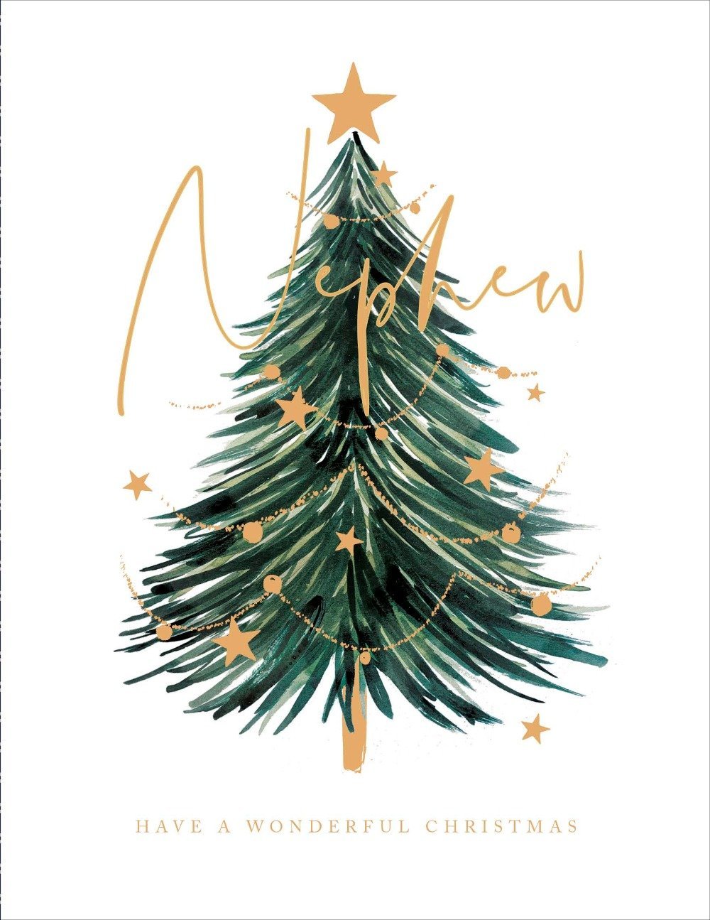 Nephew Christmas Card