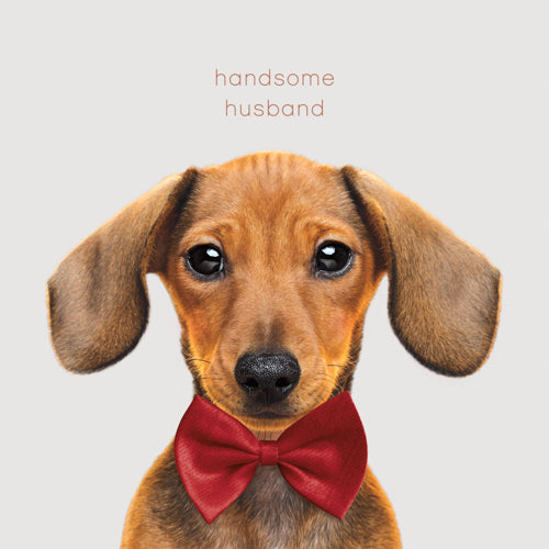 Husband Valentines Day Card - Handsome Husband Bow Tie Puppy