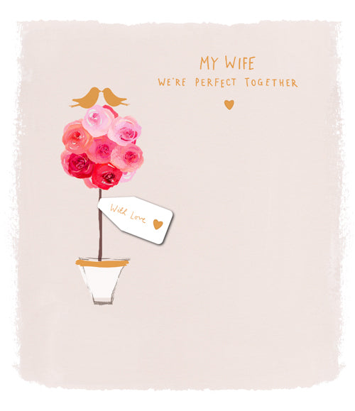 Wife Valentines Day Card - Couple Birds White Vase