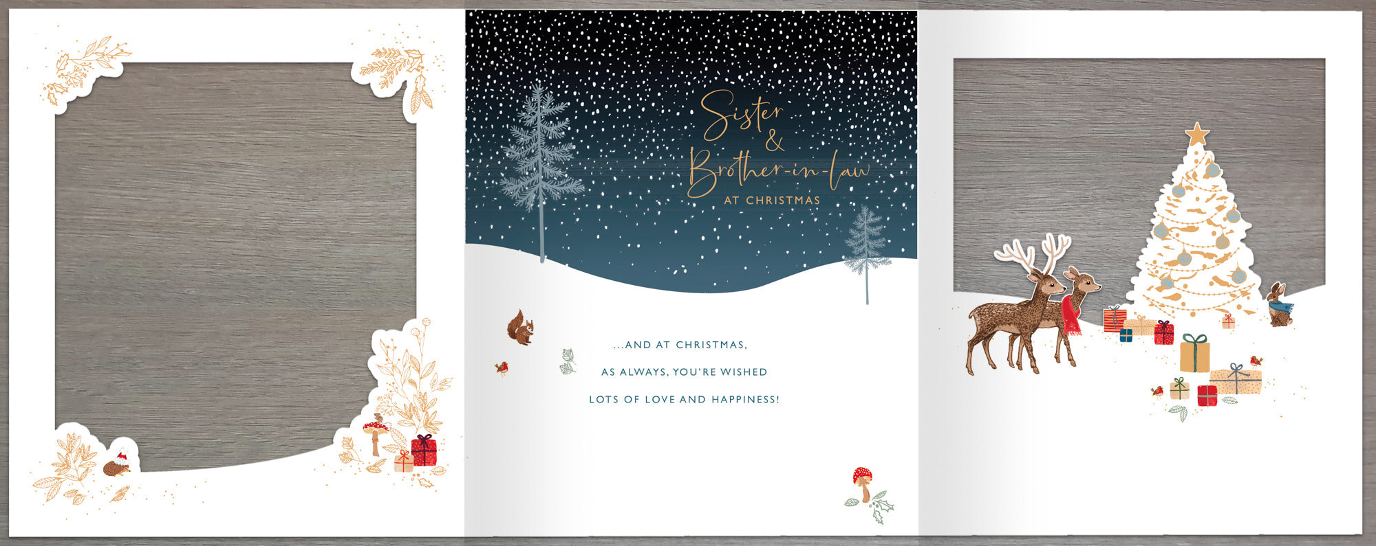 Sister And Brother In Law Christmas Card