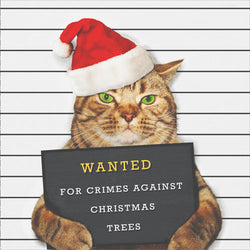 Pet Cat Christmas Card