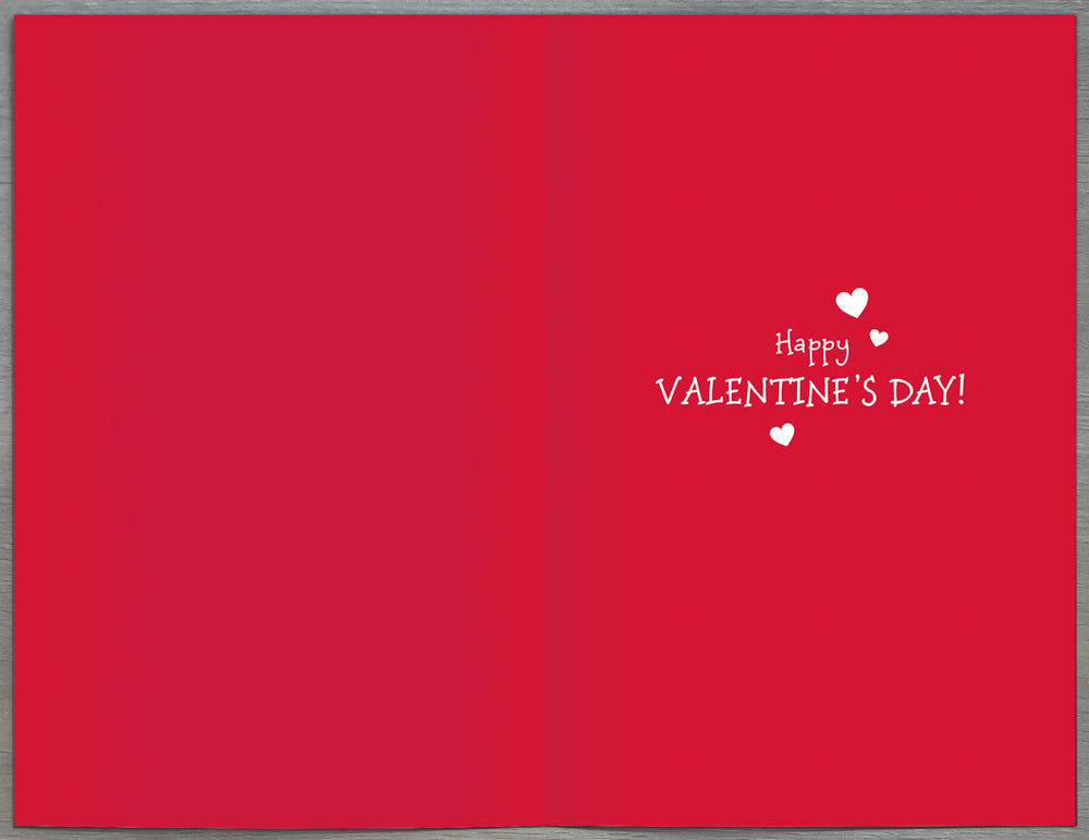 Husband Valentines Day Card - You Me Meant To Be Fuzz Bugs