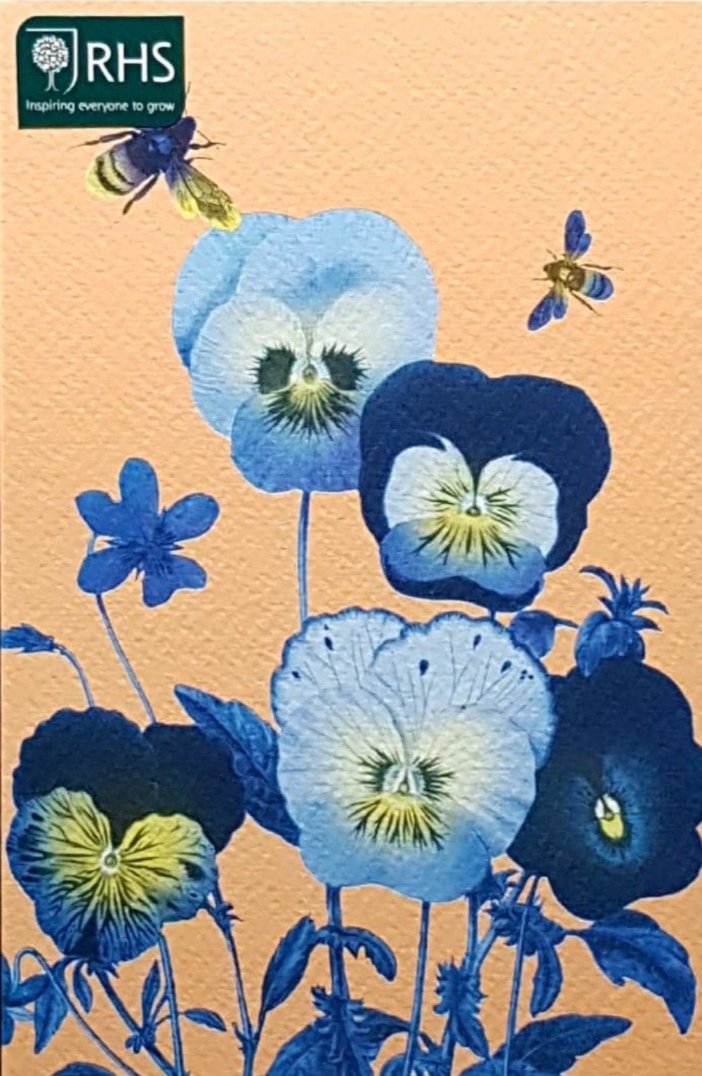Blank Card - Blue Orchids & Bees