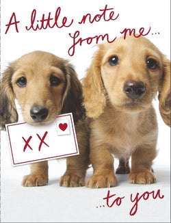 General Valentines Day Card