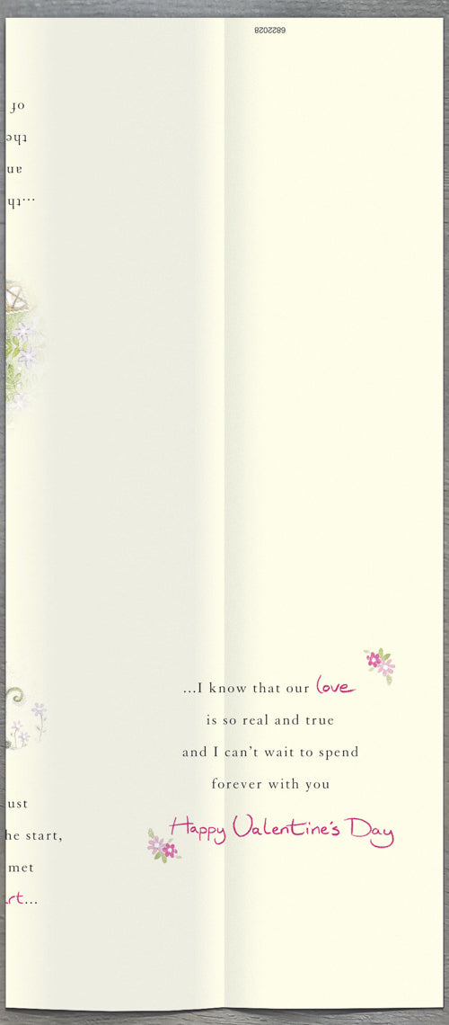 Fiancee Valentines Day Card - Bunnies Picnic Baby Birds