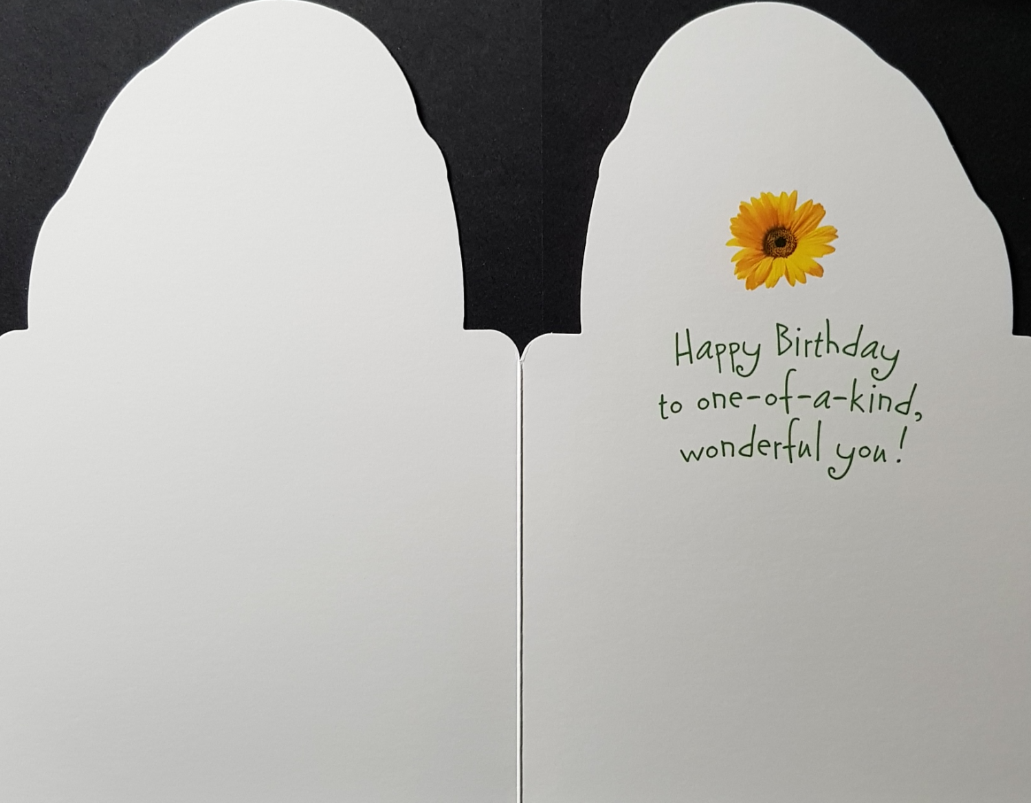 Birthday Card - General / A Lovely Dog Holding A Yellow Flower