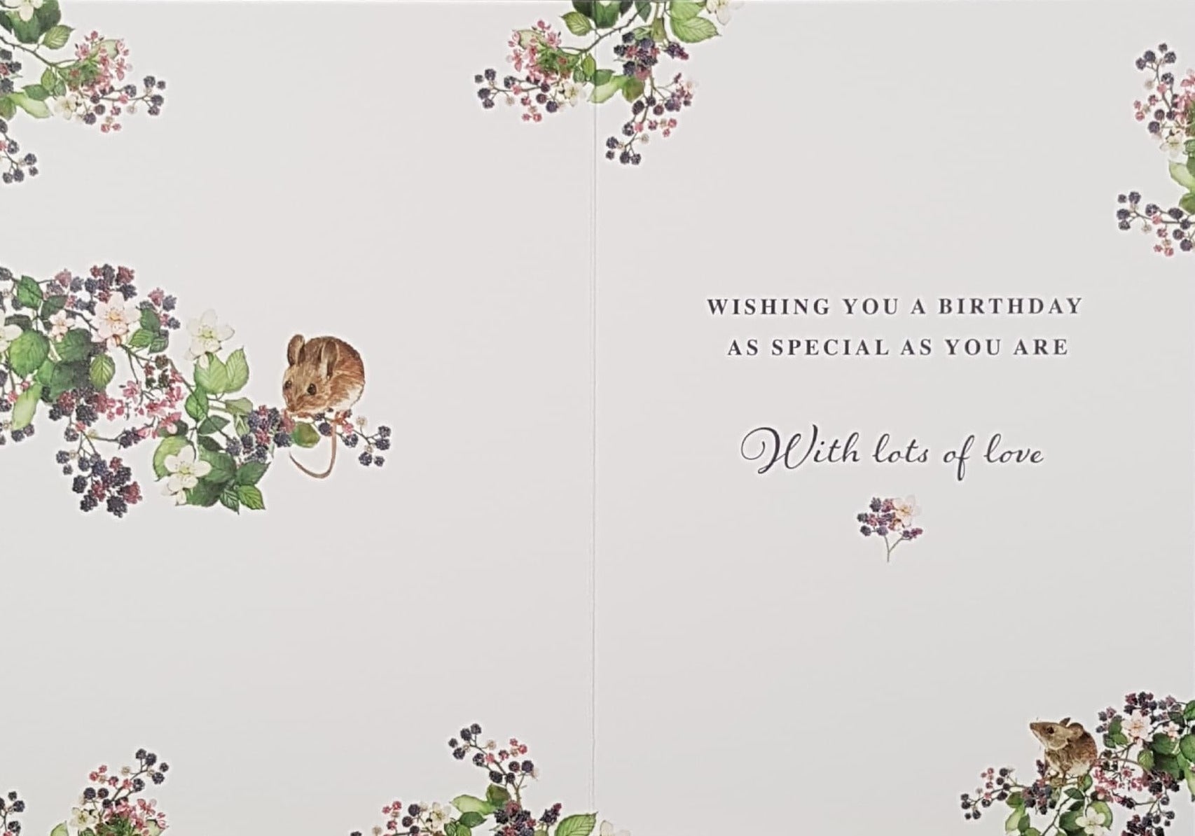 Birthday Card - Granny / Two Mice On A Floral Branch