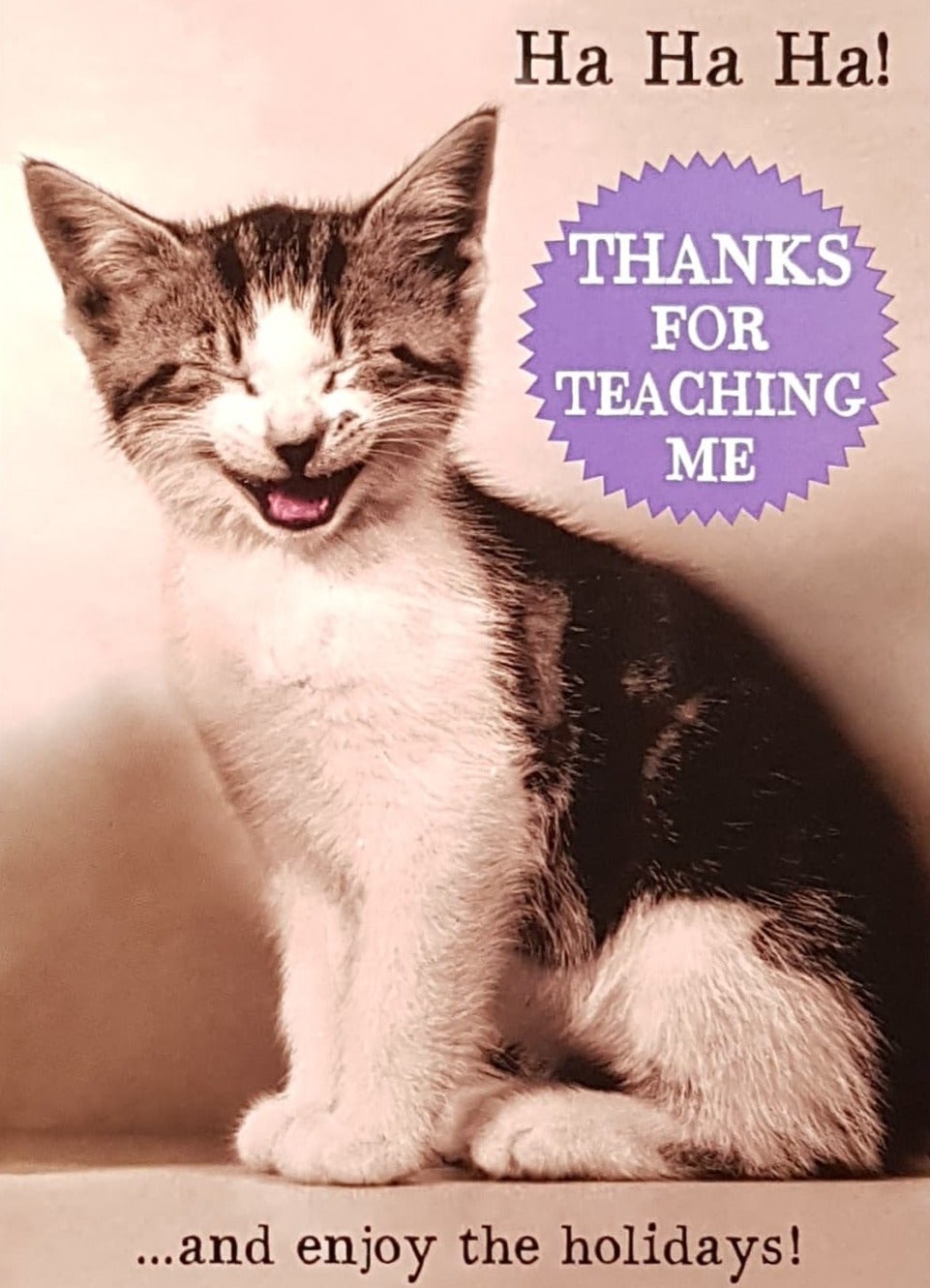 Thank You Card - Teacher / 'Enjoy The Holidays' & A Smiling Kitten