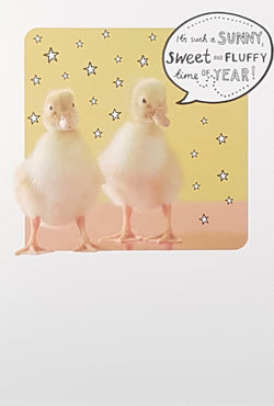Easter Card - Two Yellow Chicks & Stars