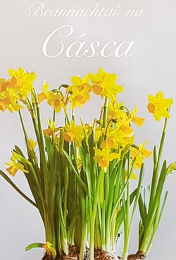 Easter Card - Lovely Daffodils On A White Front