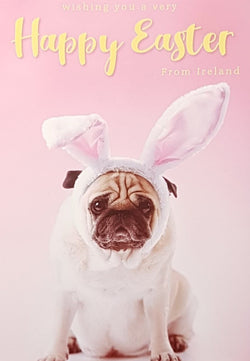 Easter Card - From Ireland / A Dog With Bunny Ears & A Pink Front
