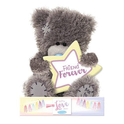 General Gift - Soft Toy / Cute Gray Teddy Holding Yellow Star & Friend Forever