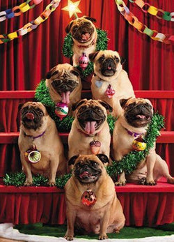 Blank Christmas Card - Pug Dog XMAS