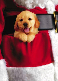 Blank Christmas Card - Lab Puppy XMAS