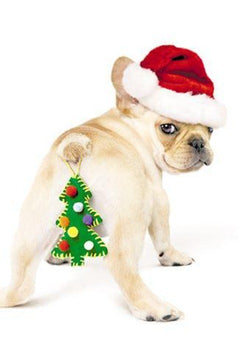 Humour Christmas Card - Puppy XMAS