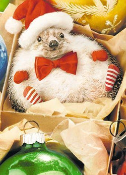 Humour Christmas Card - Funny animal XMAS