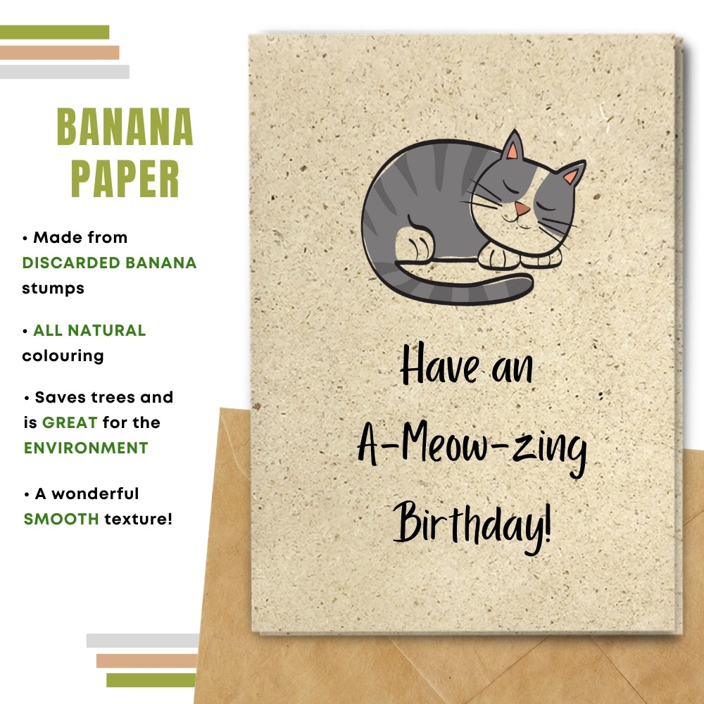 Funny Birthday Card - A Meow Zing Birthday