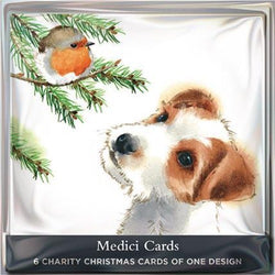 Charity Christmas Card - Pack / Puppy's First Christmas