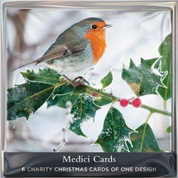 Charity Christmas Card - Pack / Robin And Holy