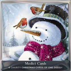 Charity Christmas Card - Pack / Festive Friends