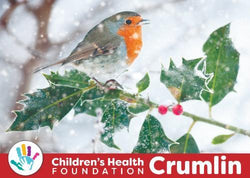 Charity Christmas Card