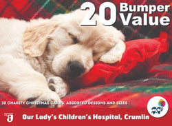 Charity Christmas Card