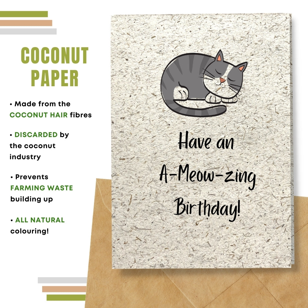 Funny Birthday Card - A Meow Zing Birthday