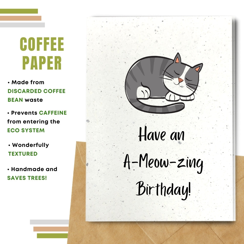 Funny Birthday Card - A Meow Zing Birthday