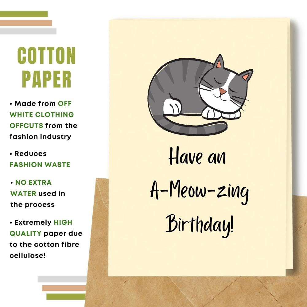 Funny Birthday Card - A Meow Zing Birthday