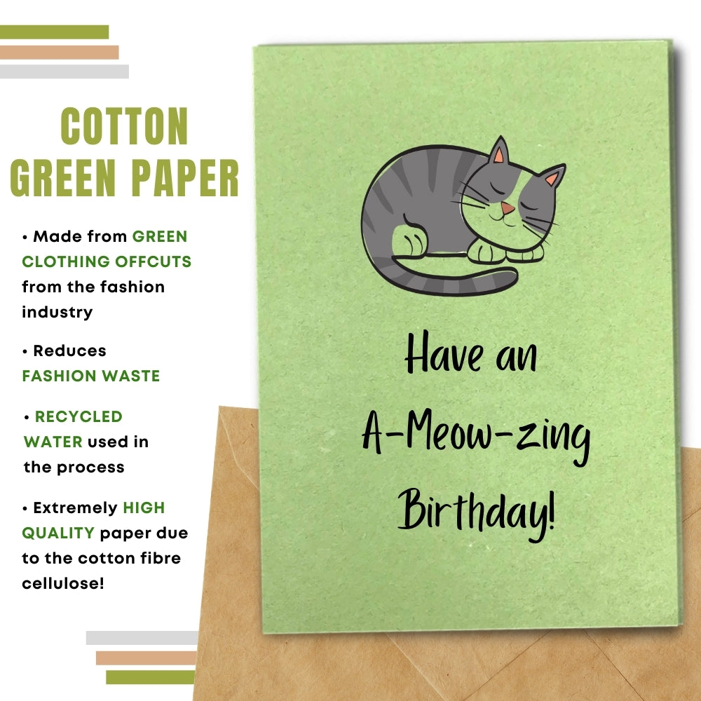 Funny Birthday Card - A Meow Zing Birthday