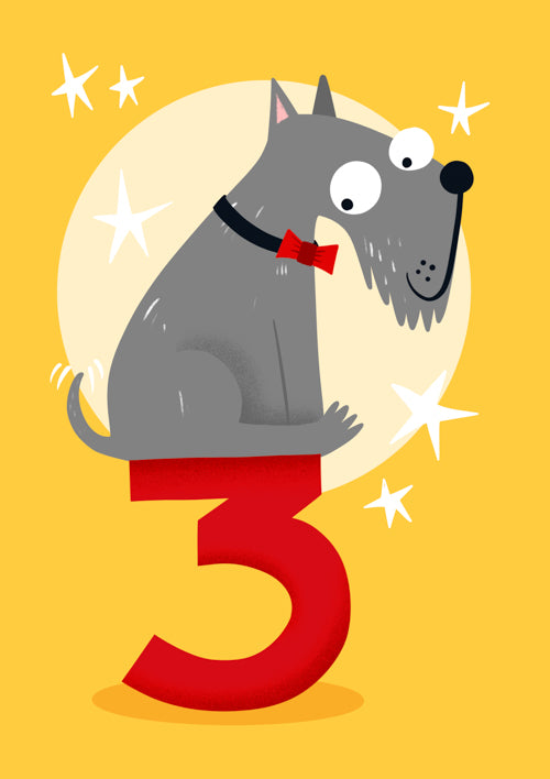3rd Pet Dog Birthday Card Personalisation