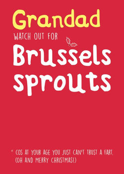 Grandad Humour Christmas Card
