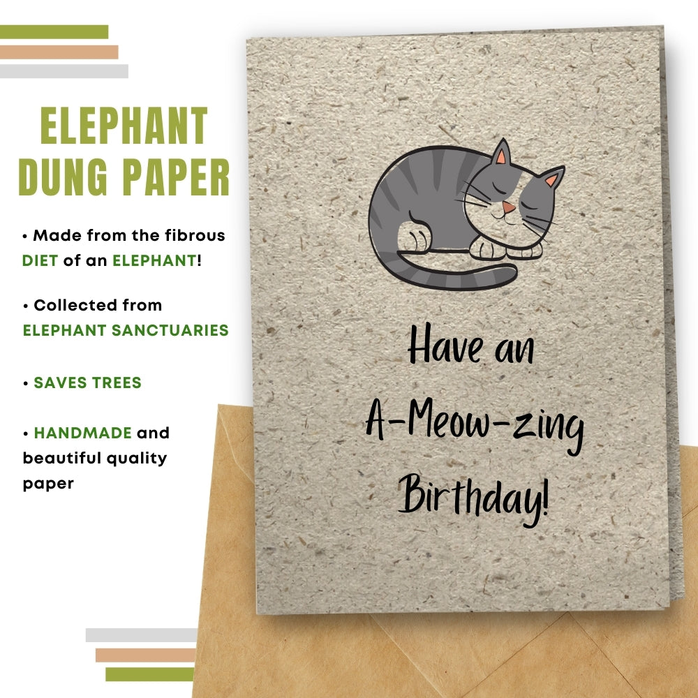 Funny Birthday Card - A Meow Zing Birthday